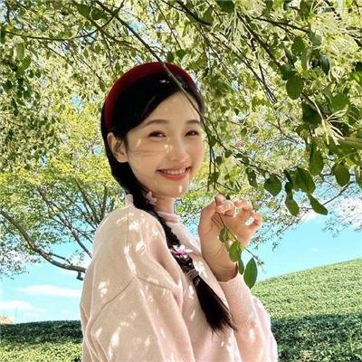 废柴万物论
