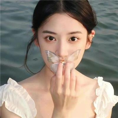 百灵鸟
