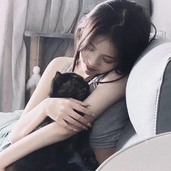 沙罗曼蛇：冥想的帕欧拉